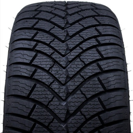 185/55 R14 Warrior Wasp-Plus Turisme